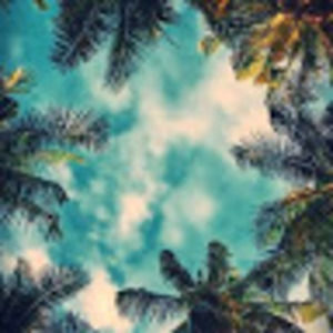 Meet your Posher, Nisa